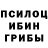 Галлюциногенные грибы Psilocybine cubensis Sijey Bro
