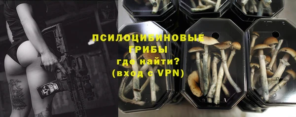 сатива Богородицк