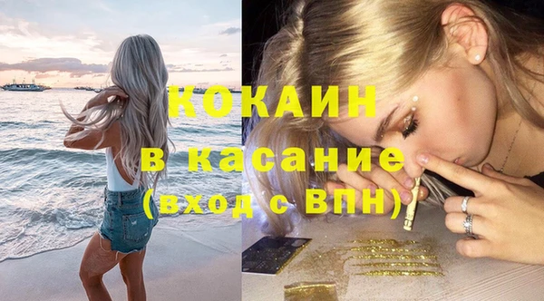 сатива Богородицк