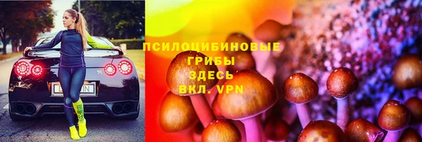 сатива Богородицк
